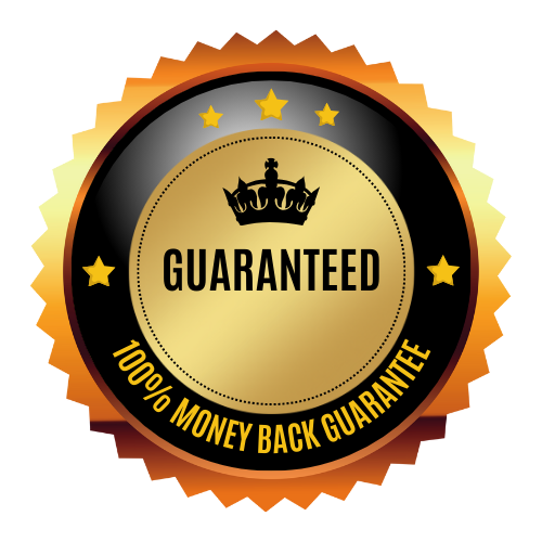 100% Mini Workshop Guarantee